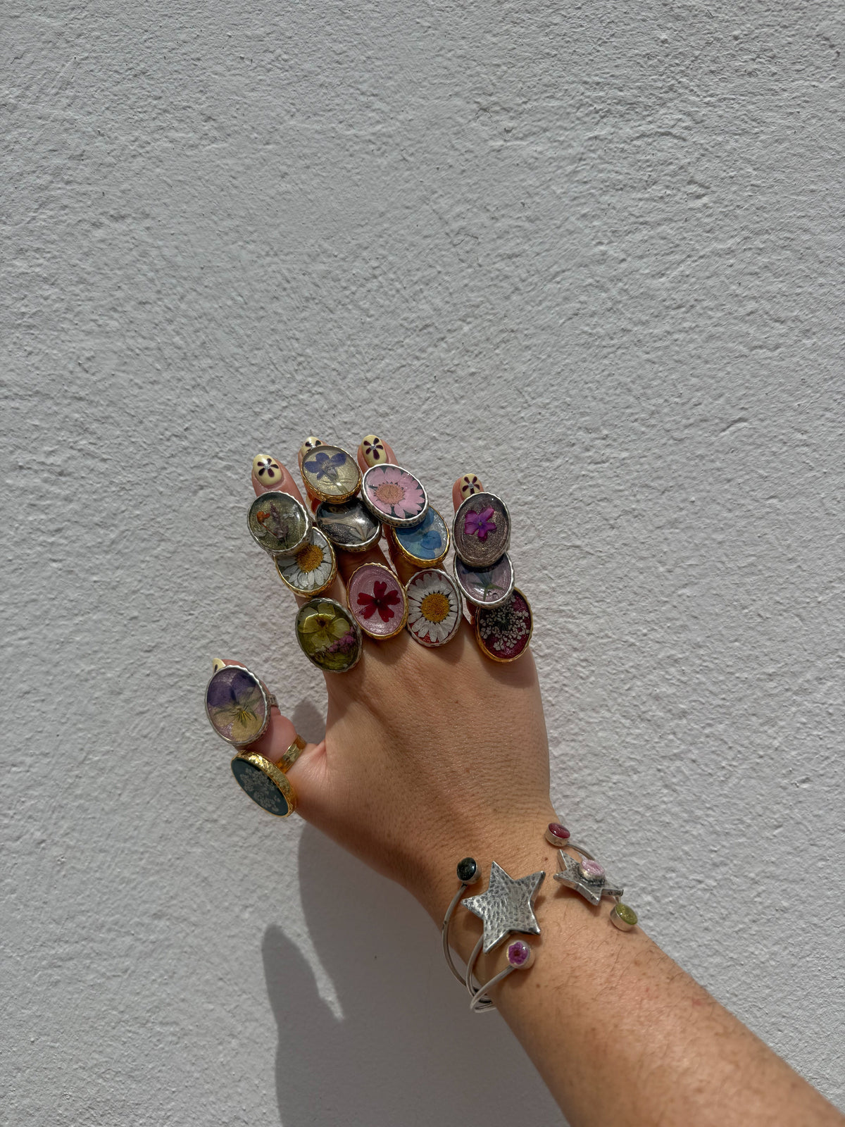 ANILLOS SILVESTRES