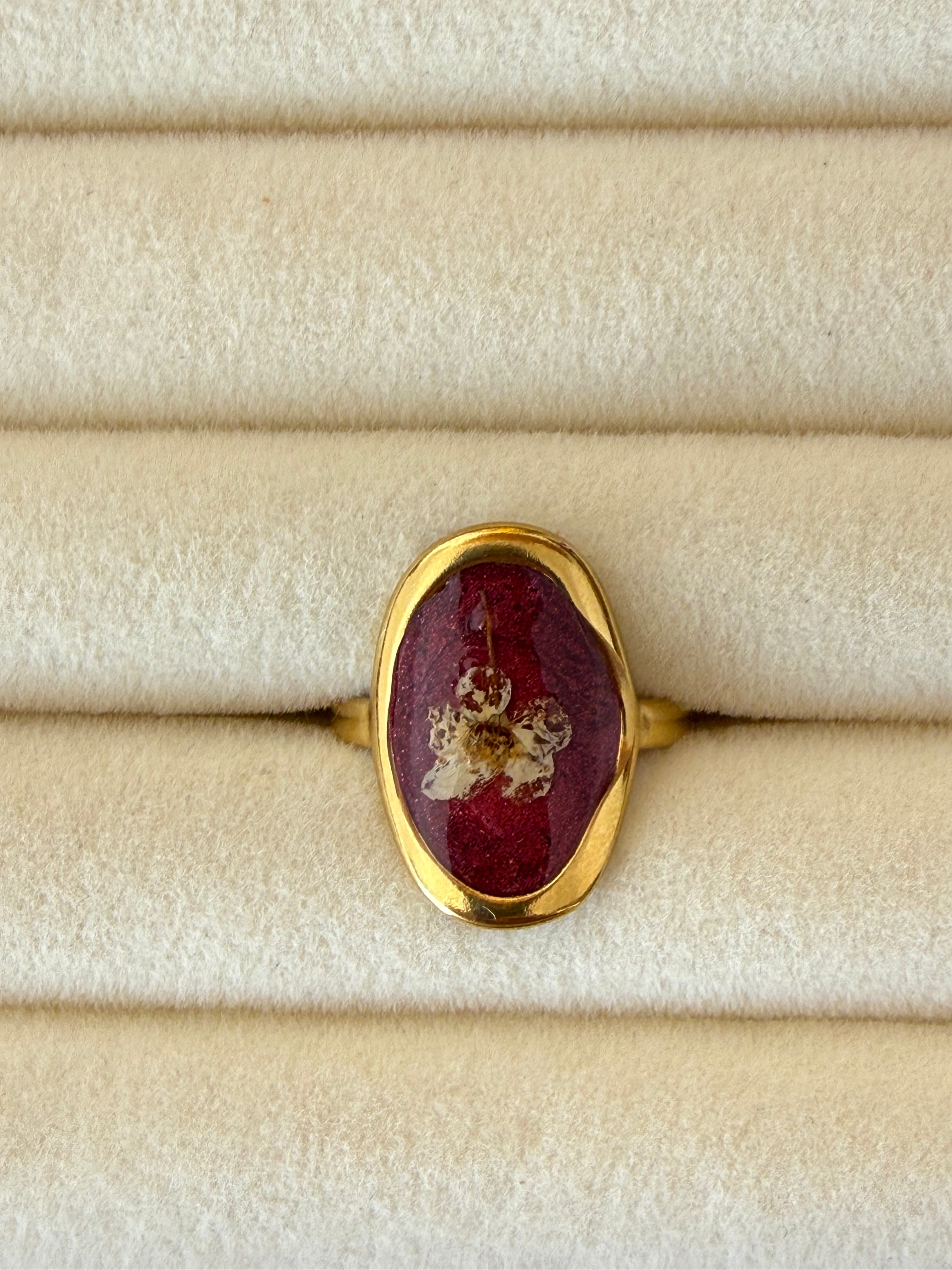 Anillo