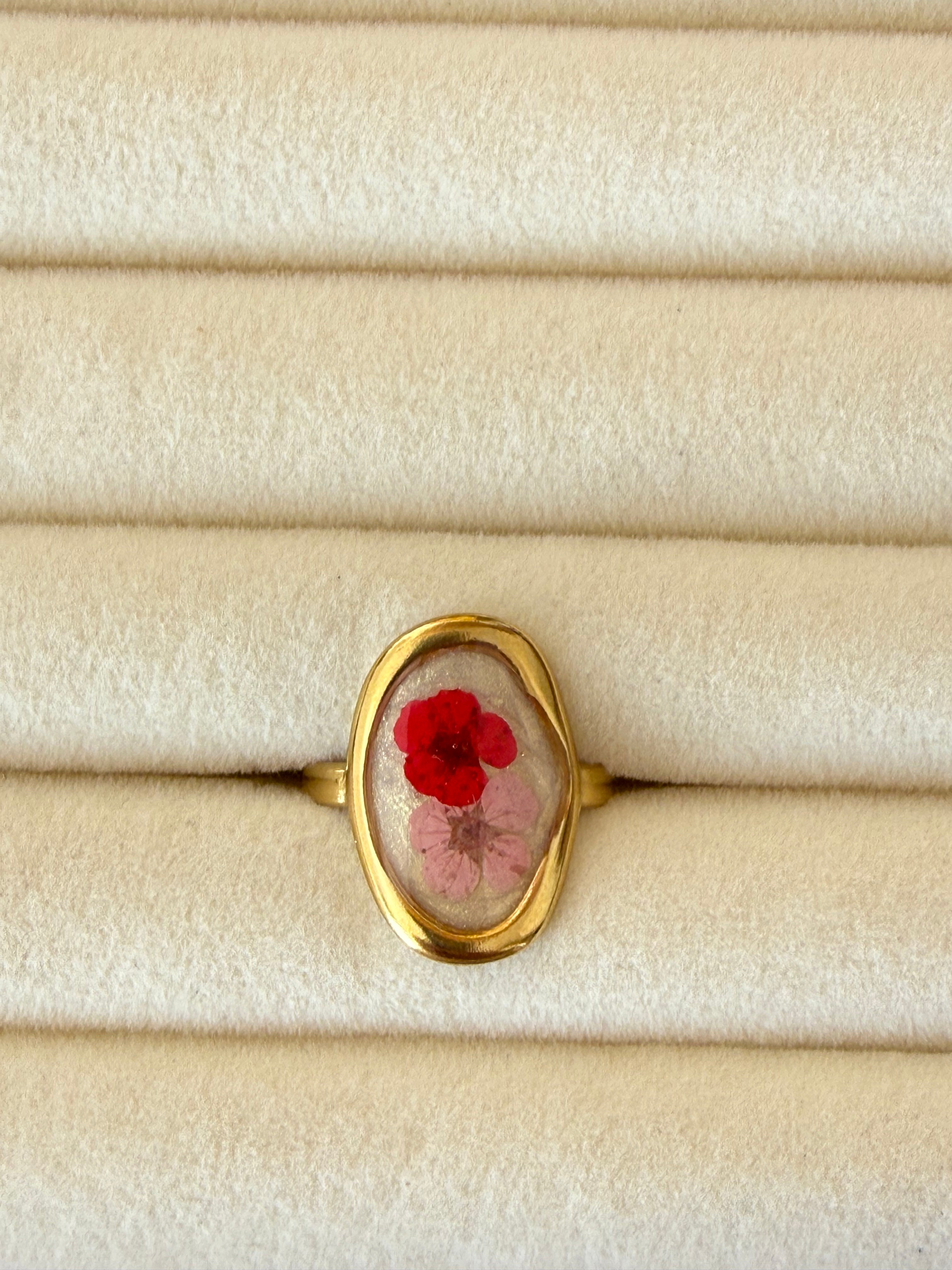 Anillo