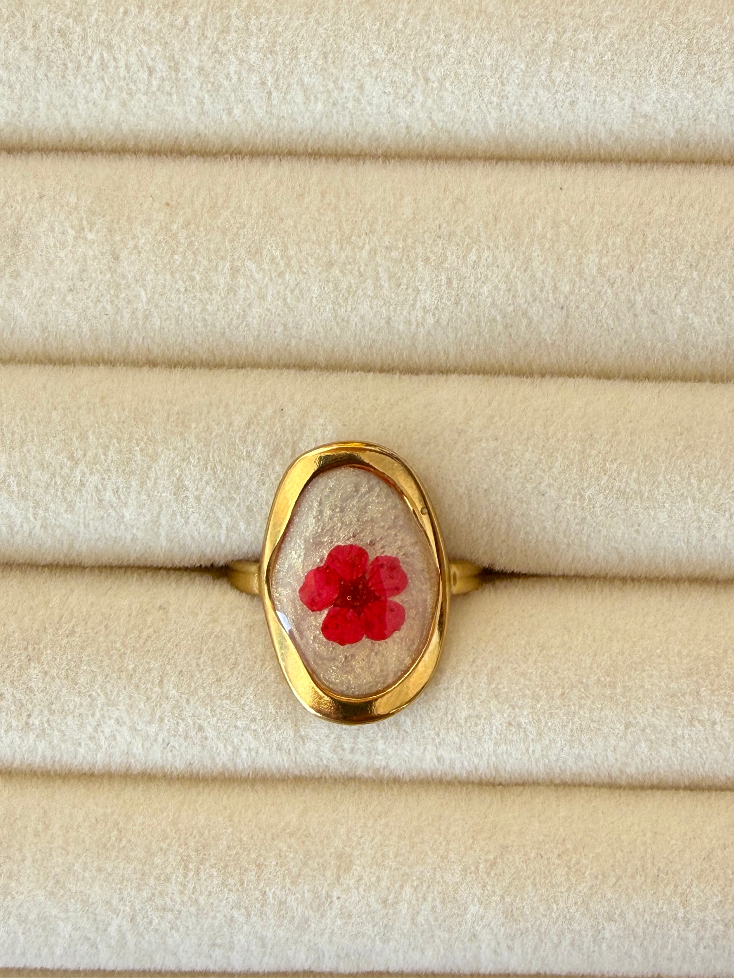 Anillo