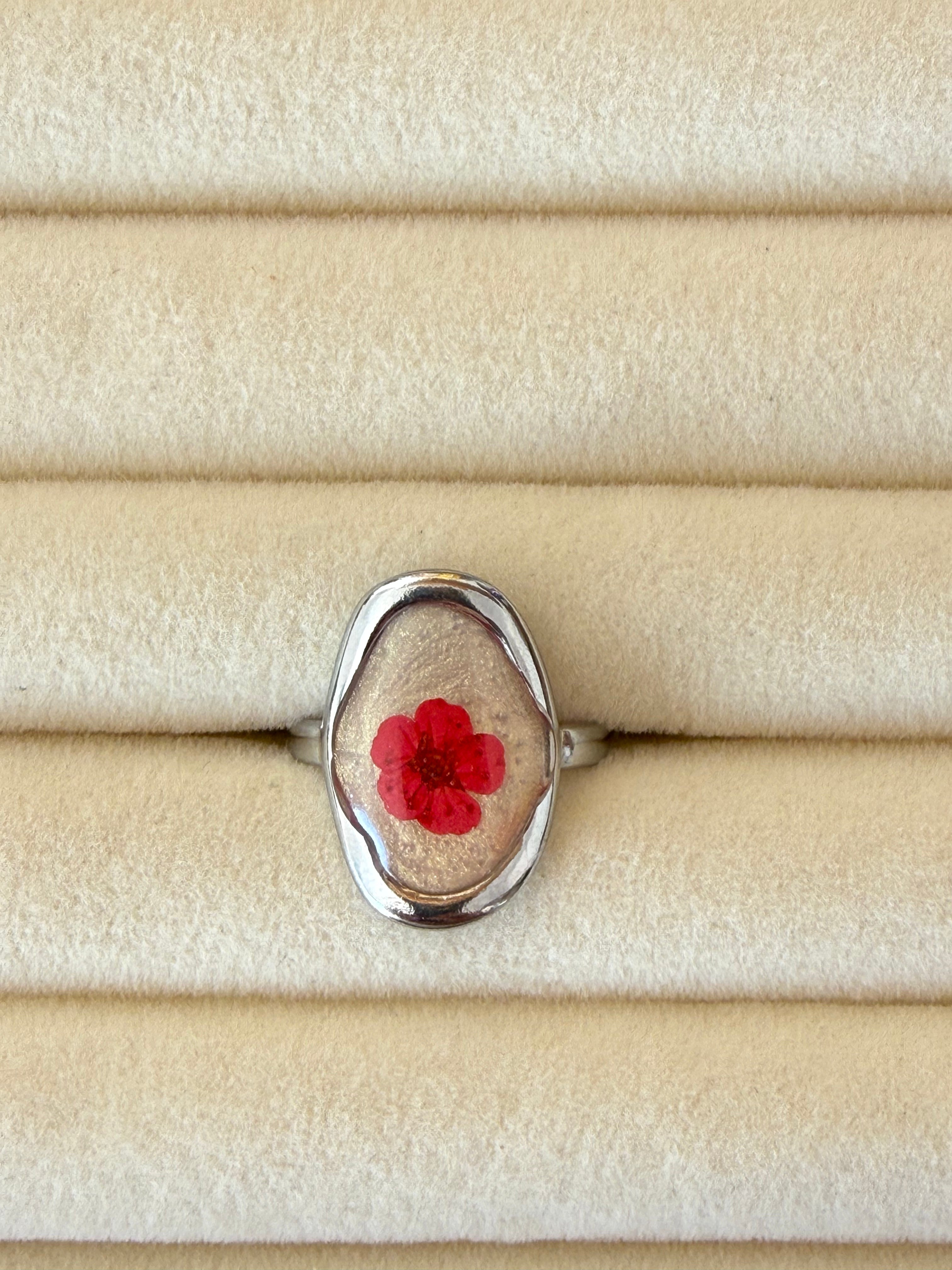 Anillo