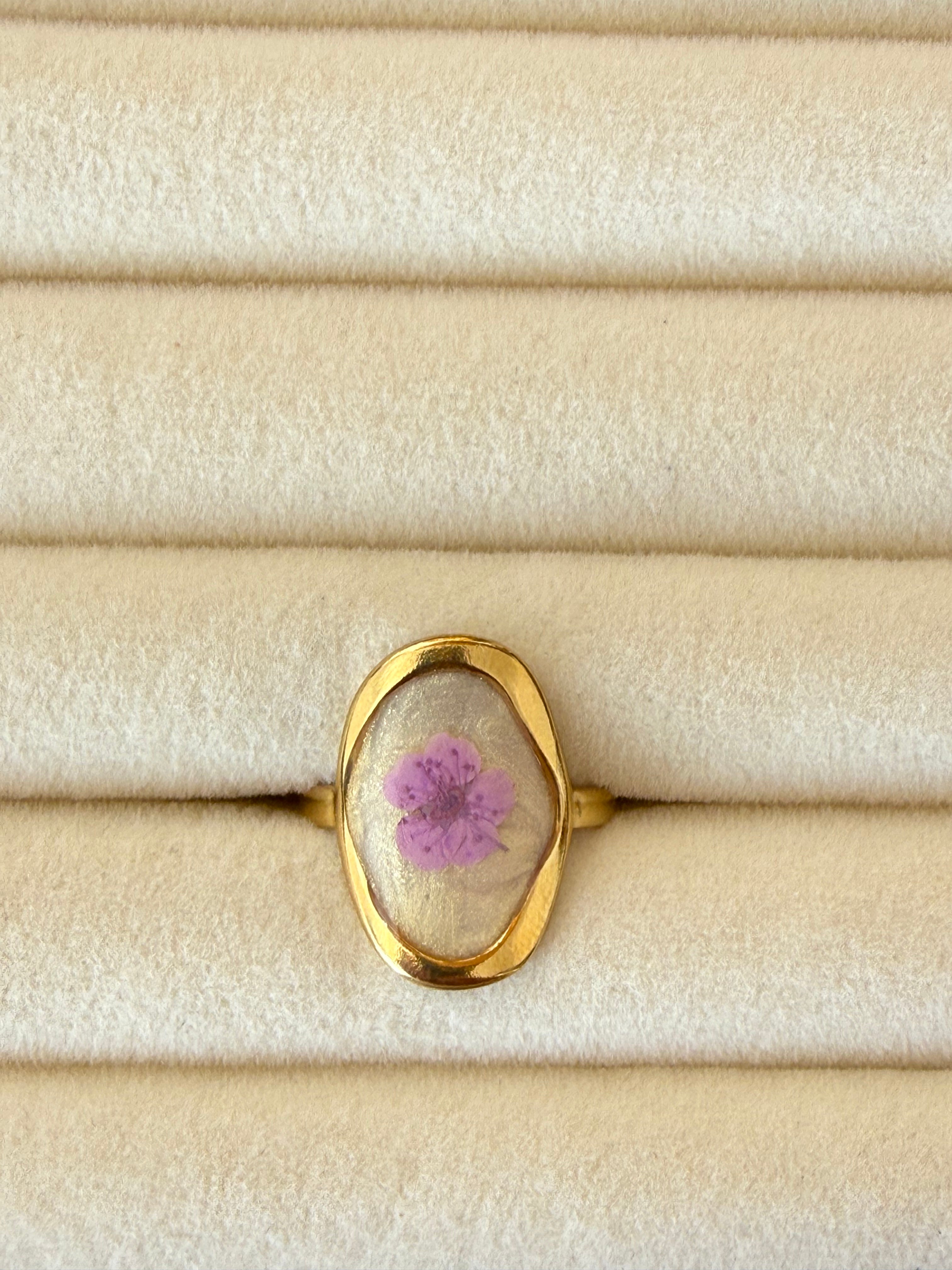 Anillo