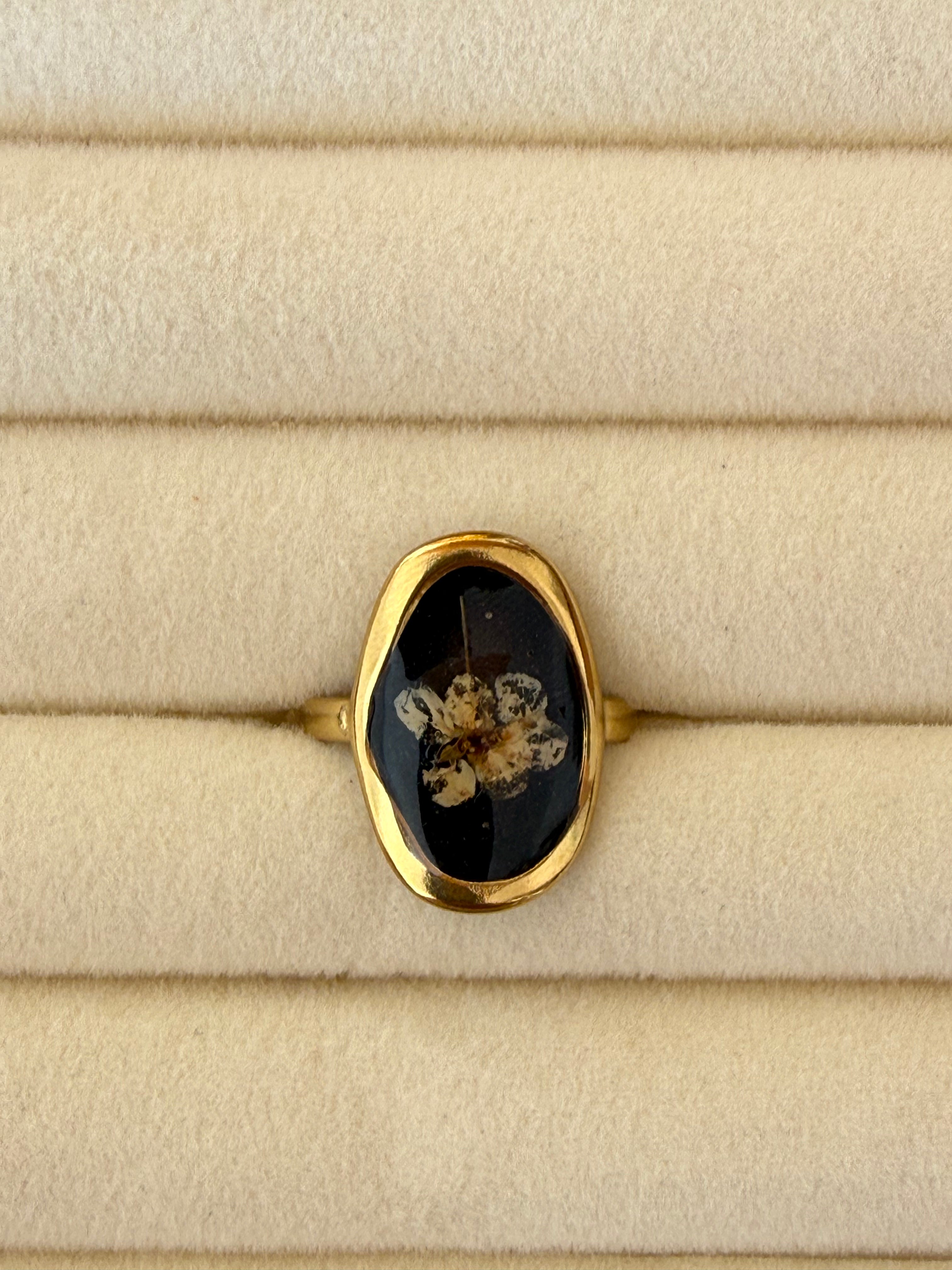 Anillo
