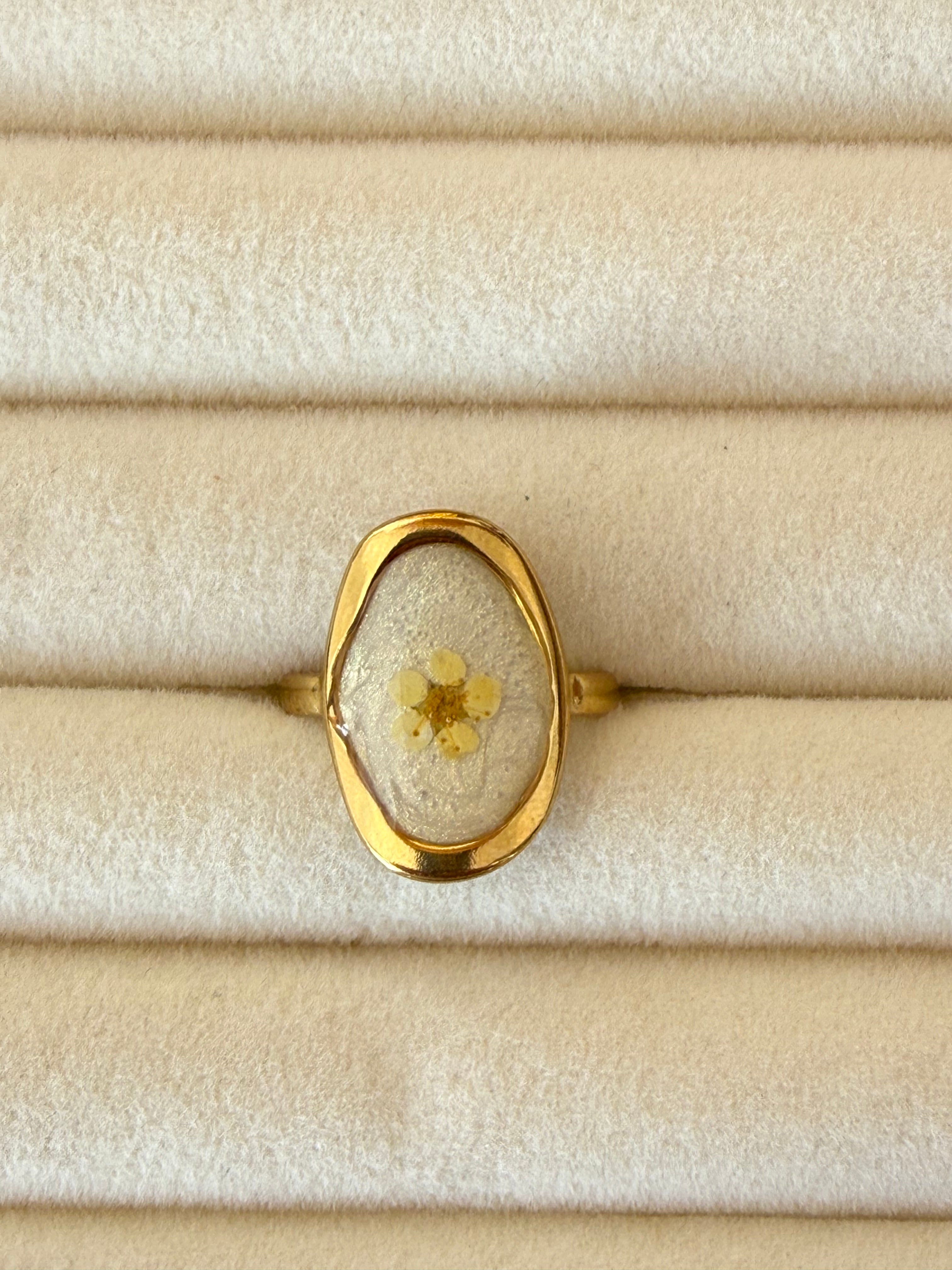 Anillo