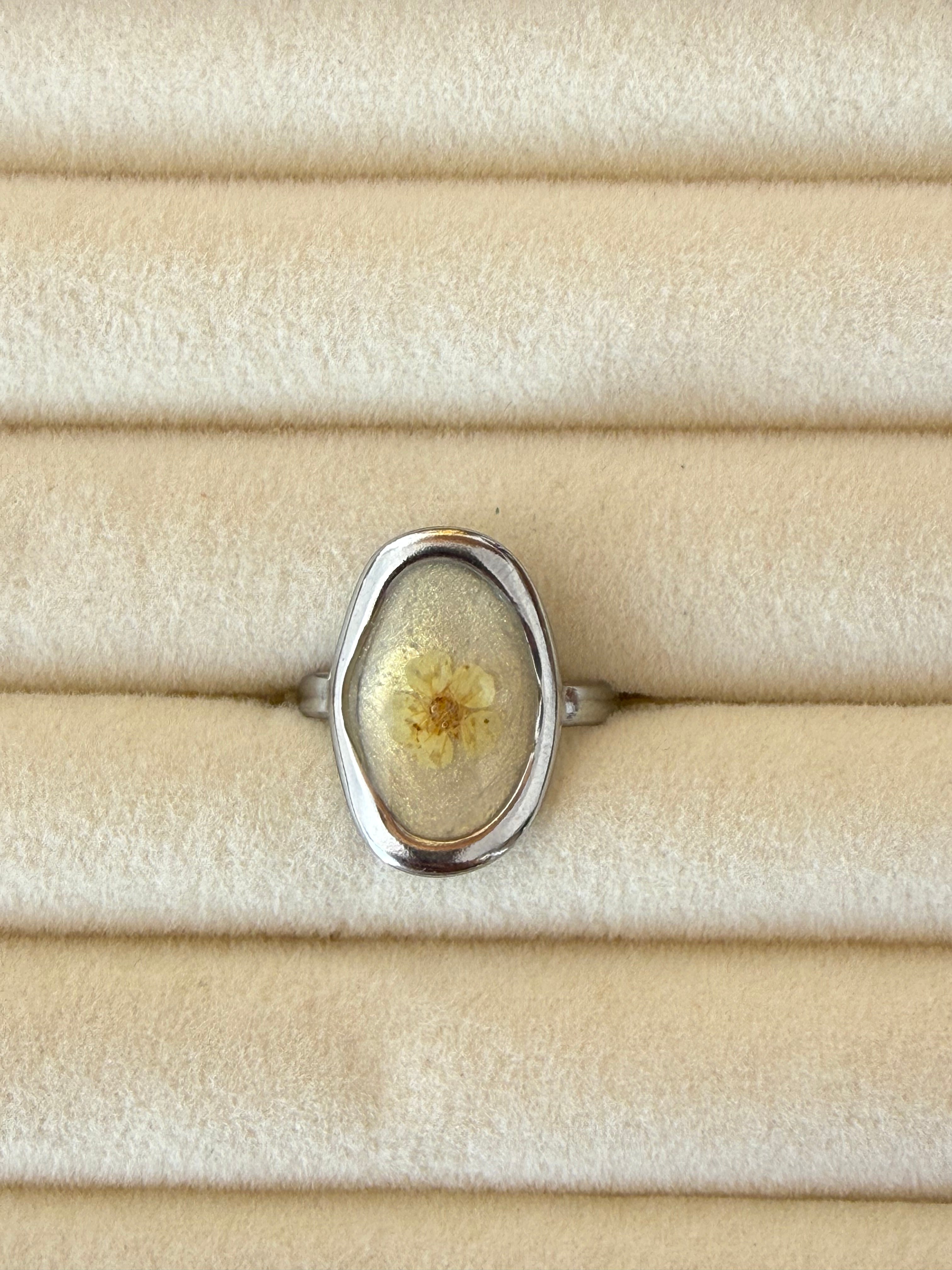 Anillo