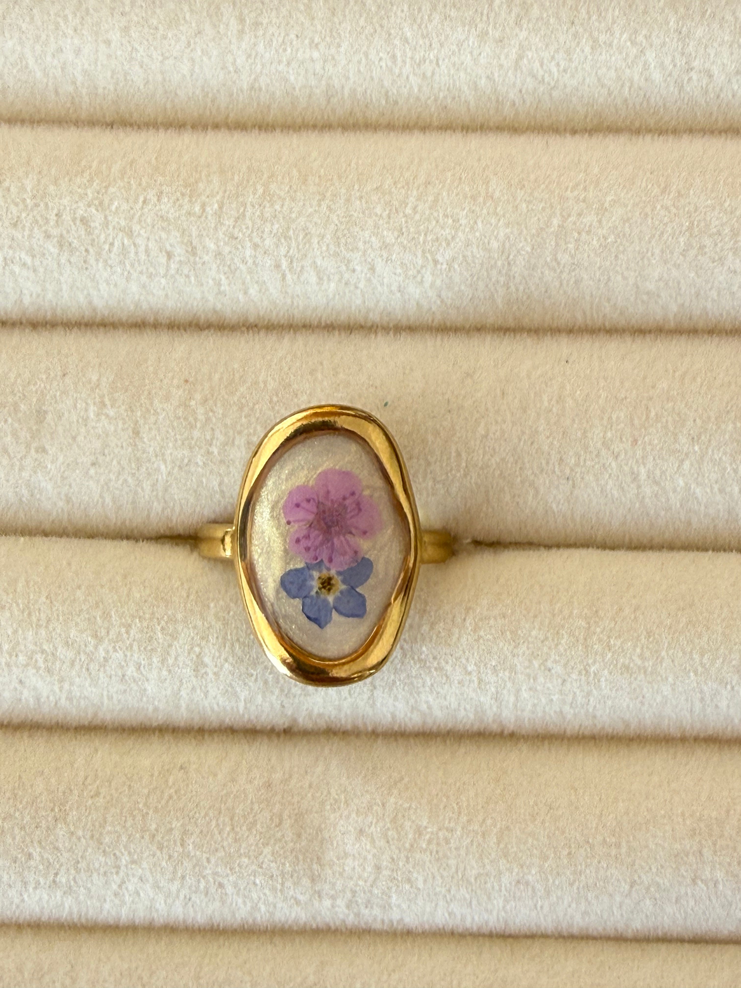 Anillo