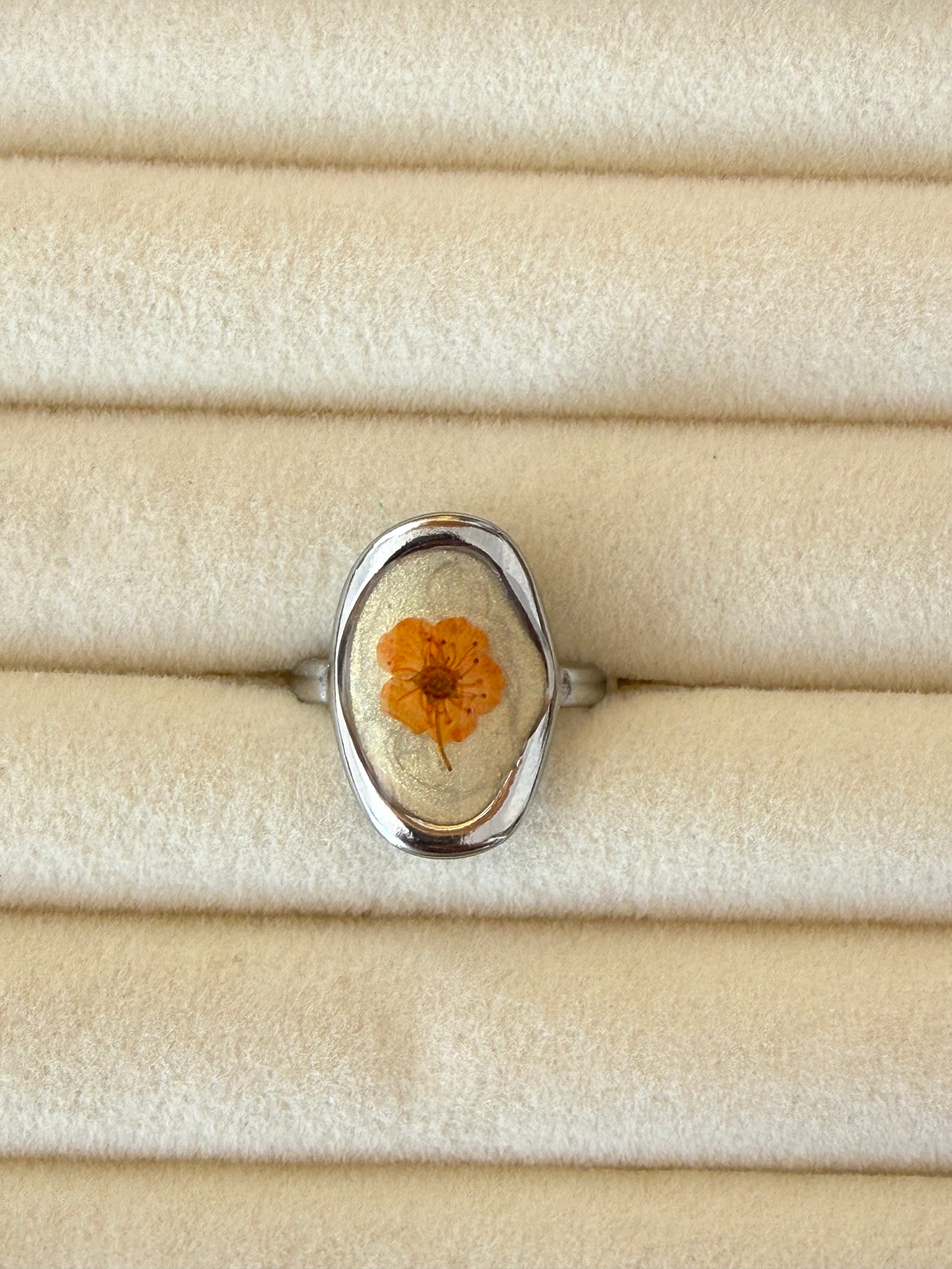 Anillo