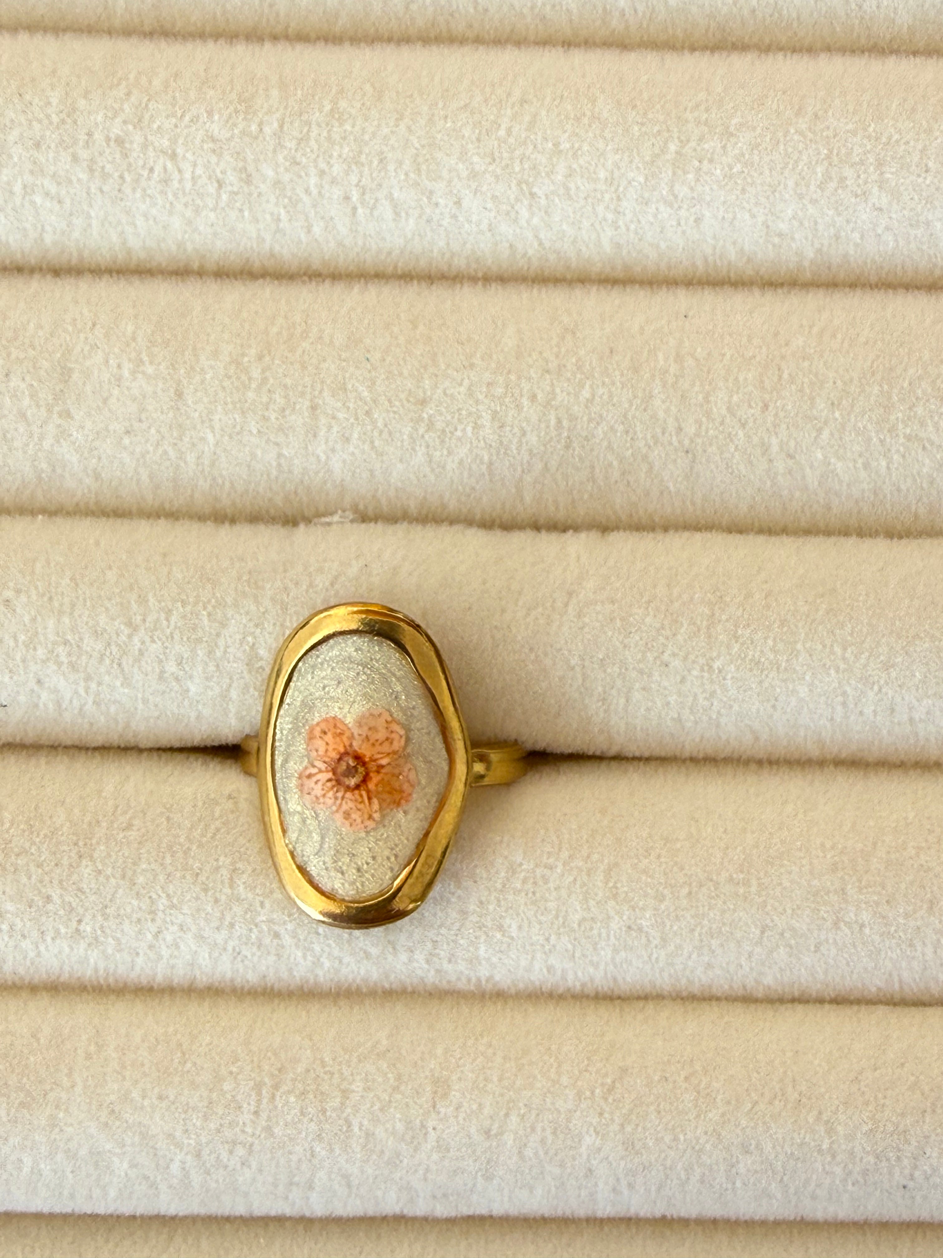 Anillo