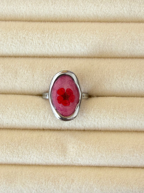 Anillo