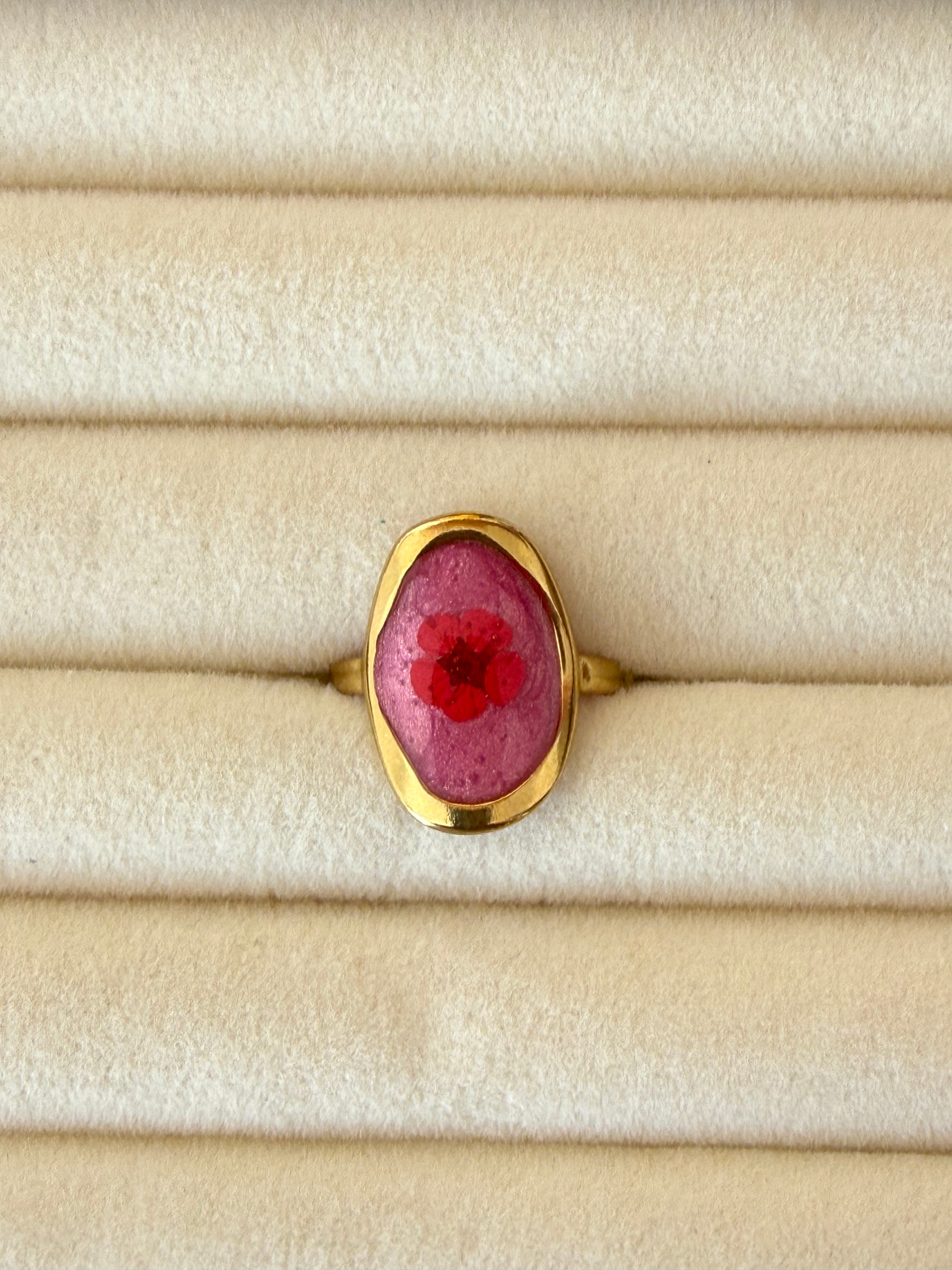 Anillo