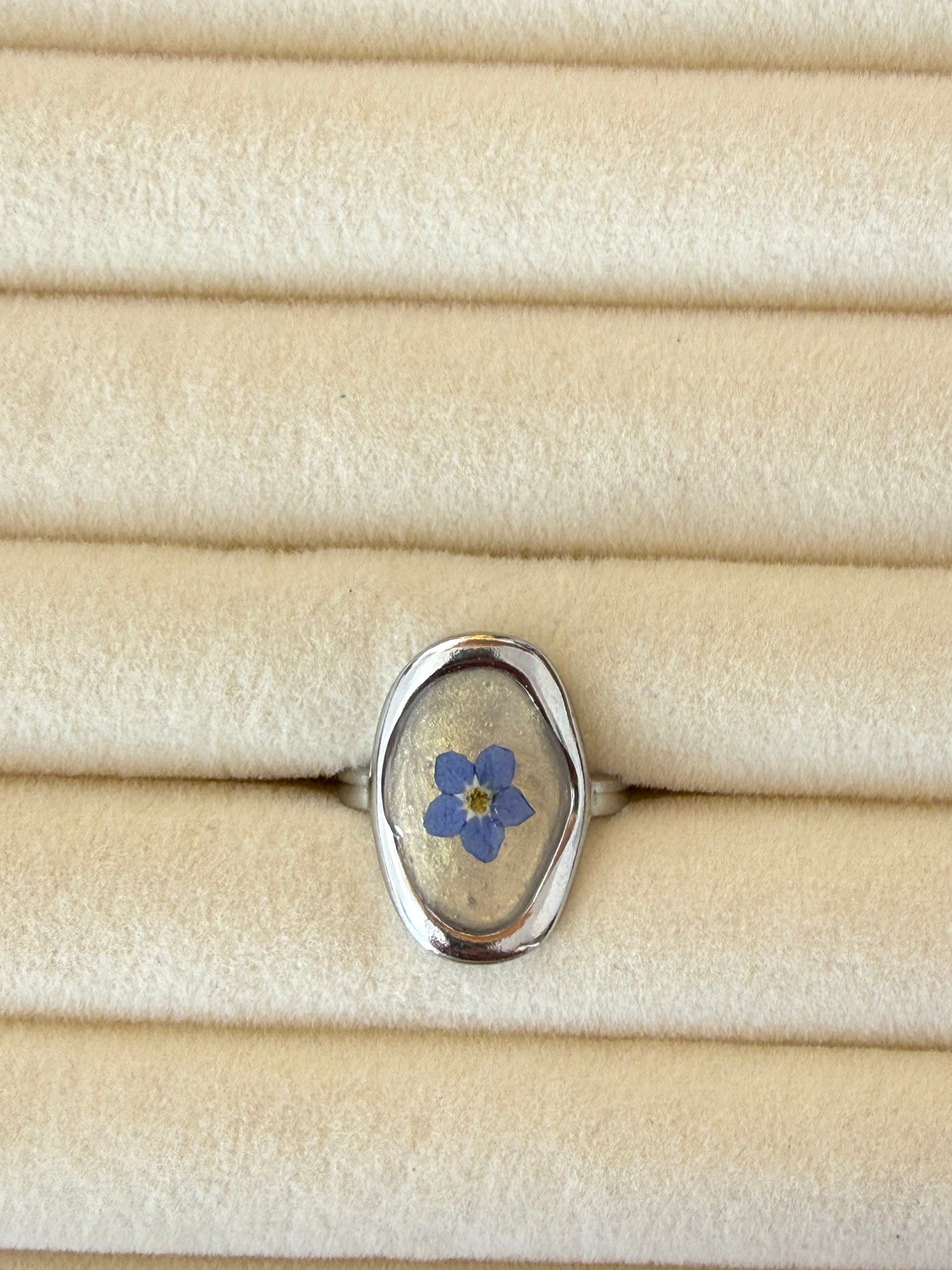 Anillo