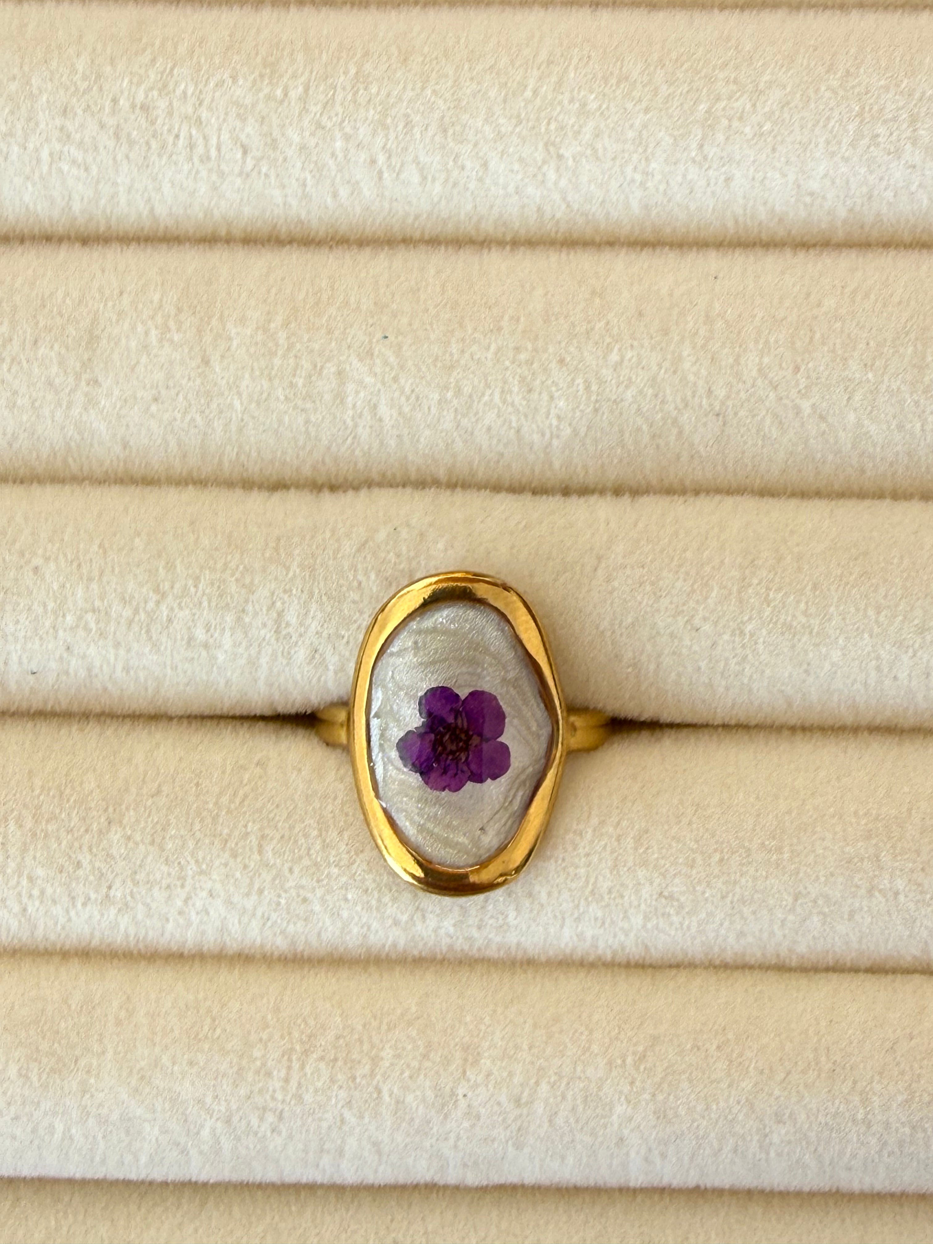 Anillo