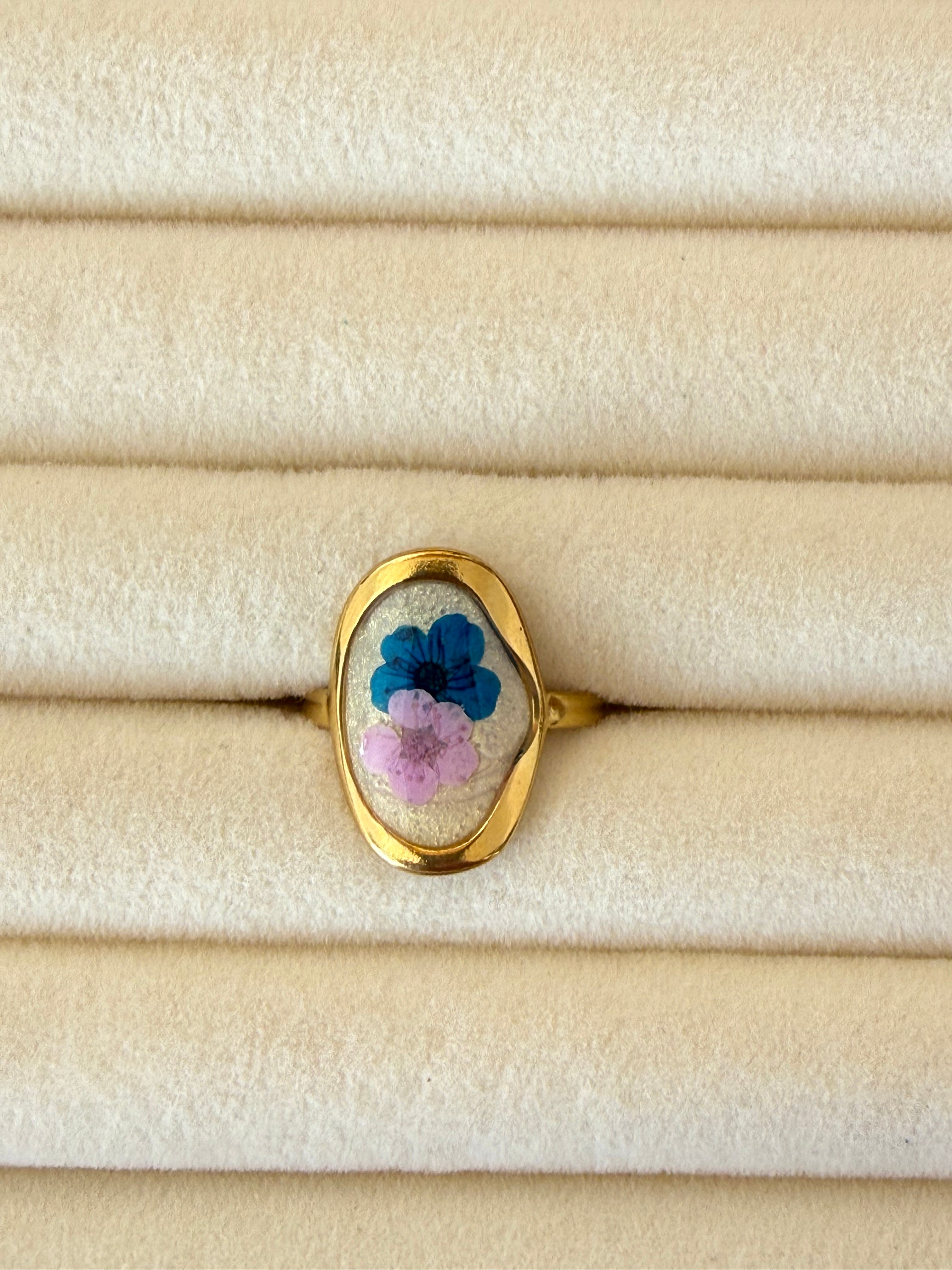 Anillo