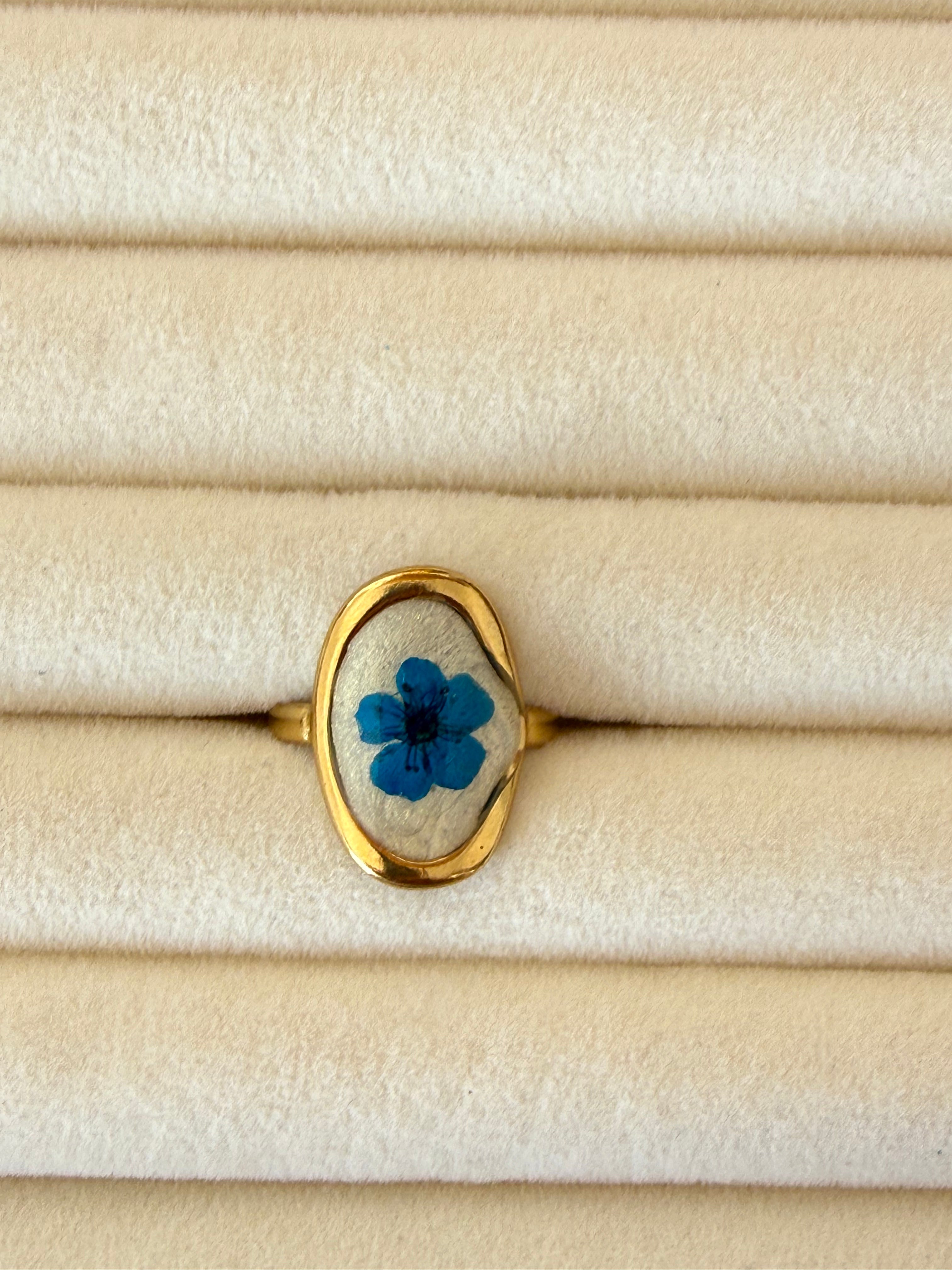 Anillo