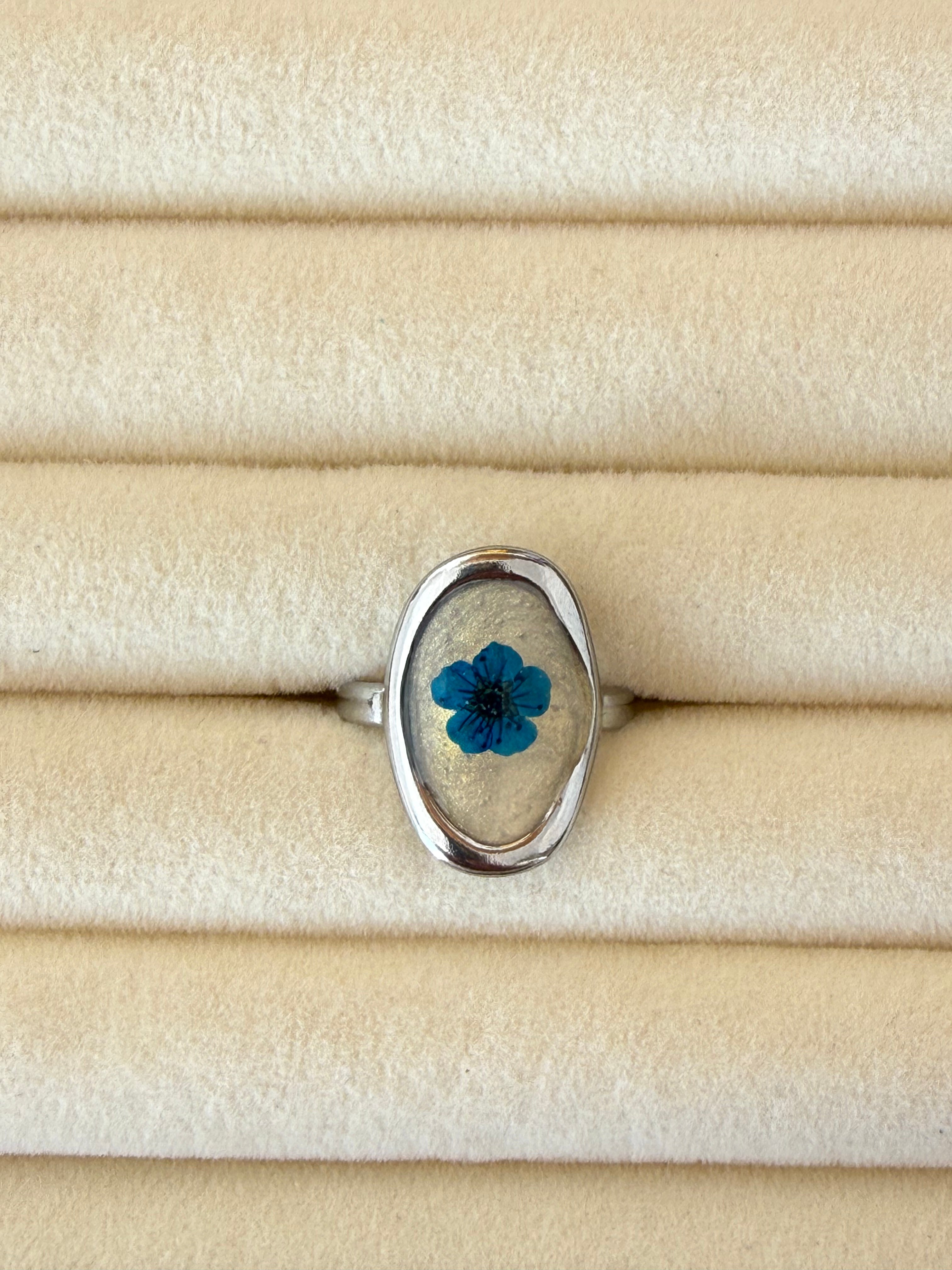 Anillo