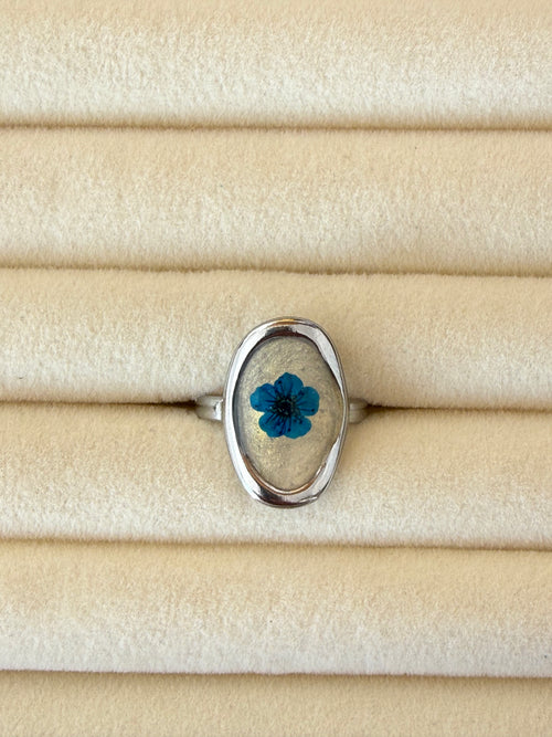 Anillo