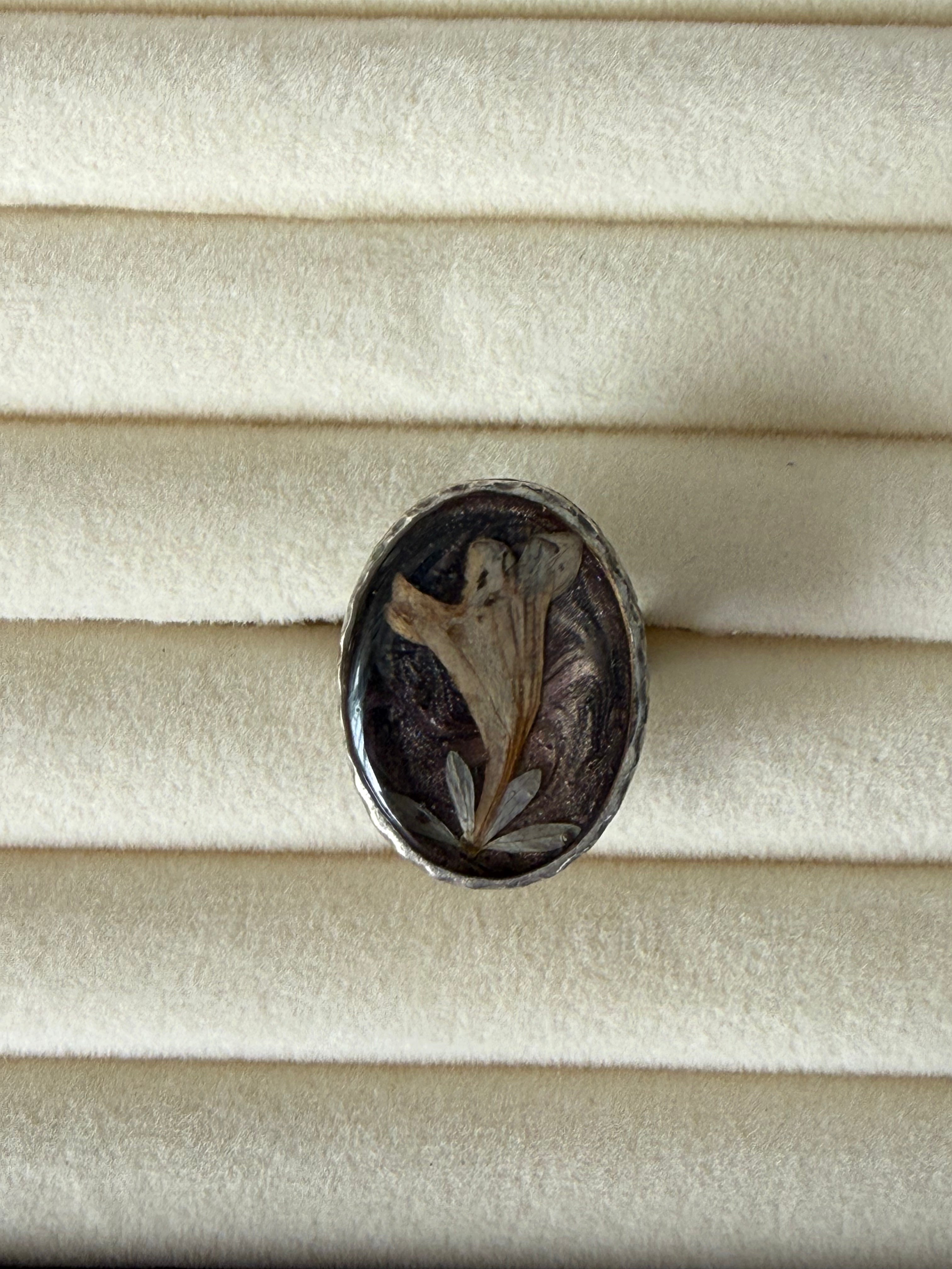 Anillo