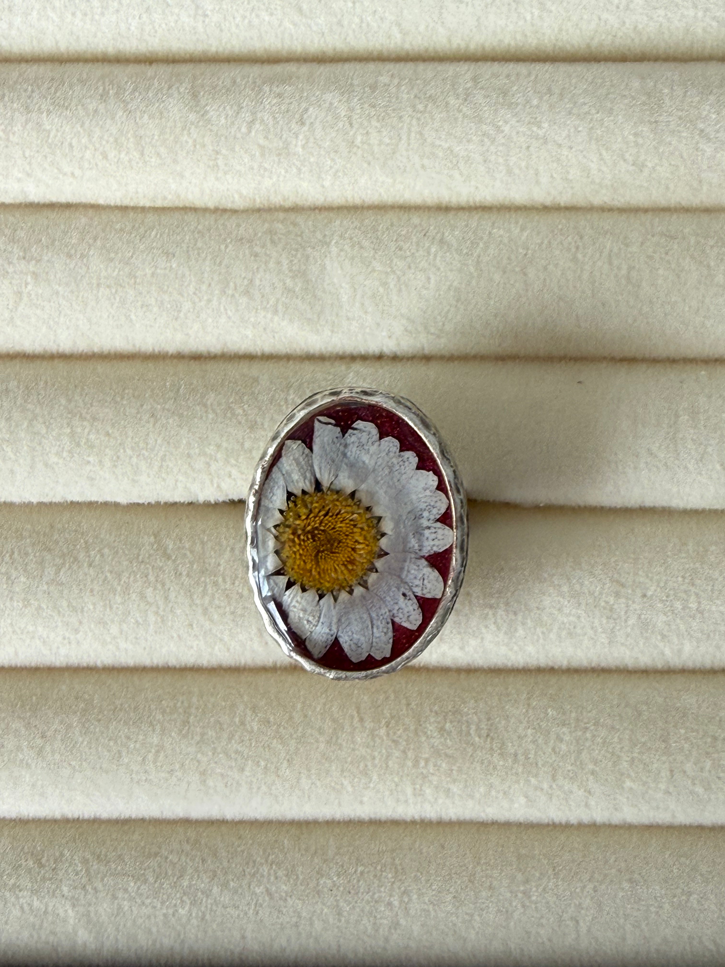Anillo