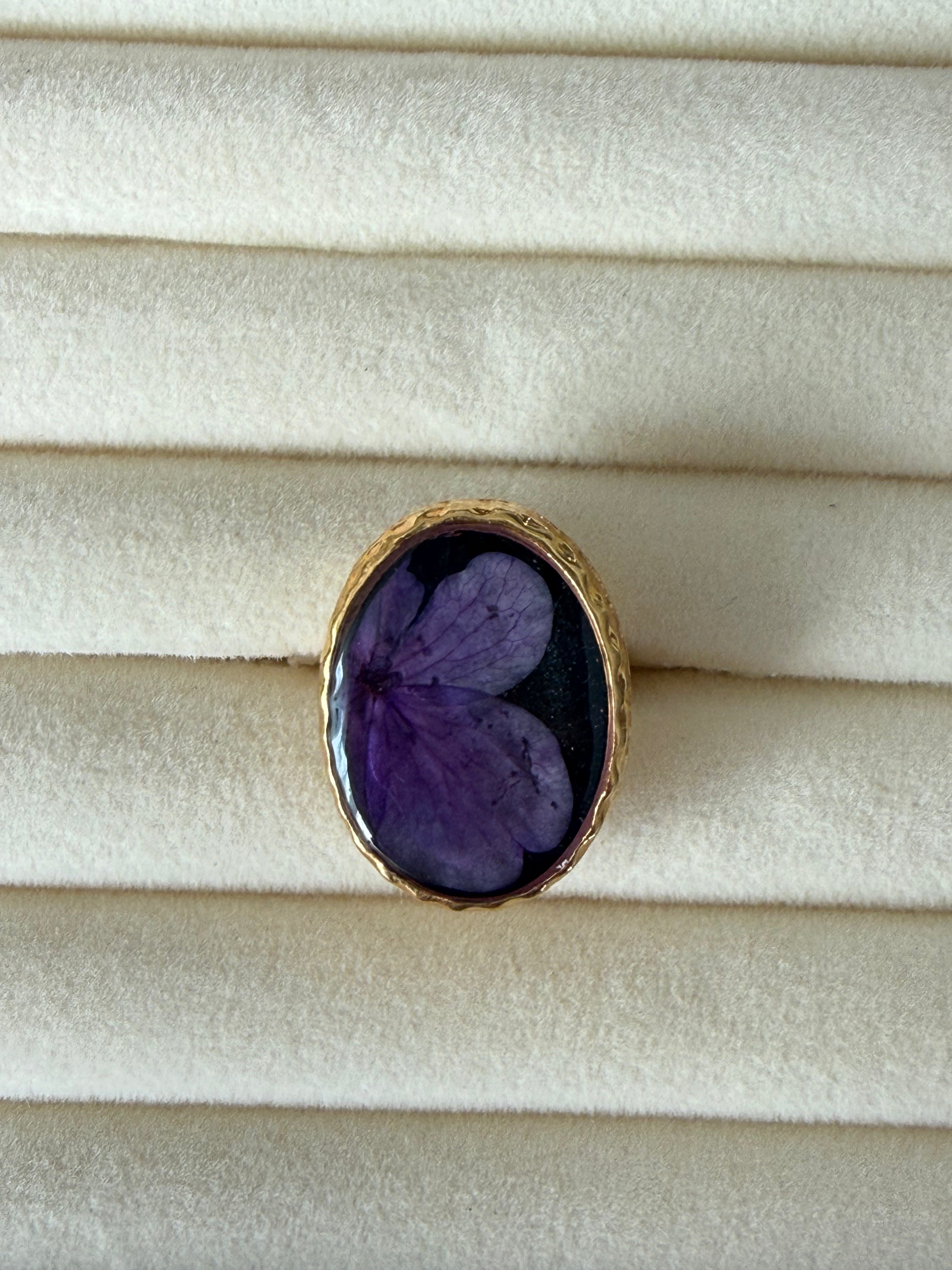 Anillo