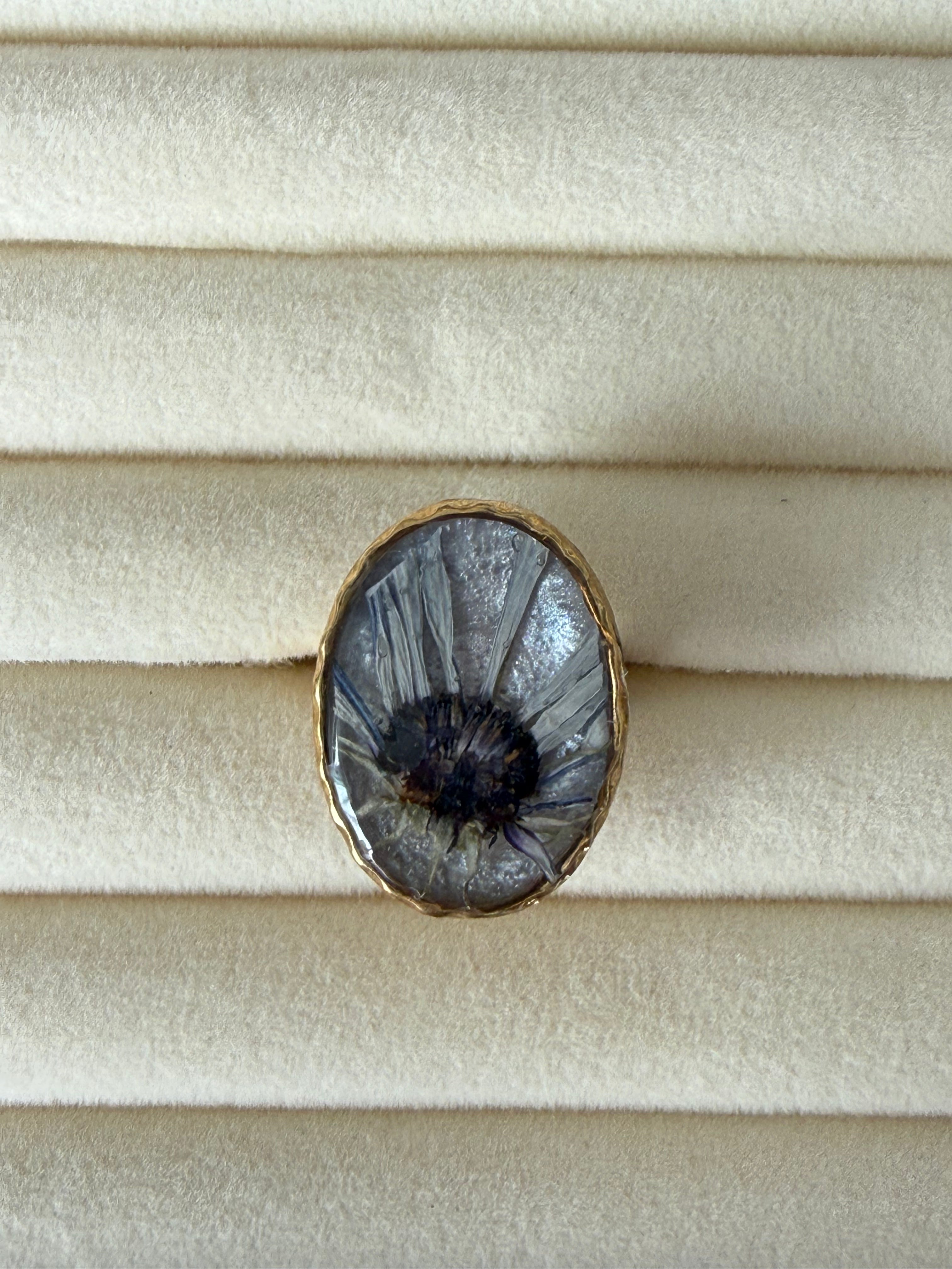 Anillo