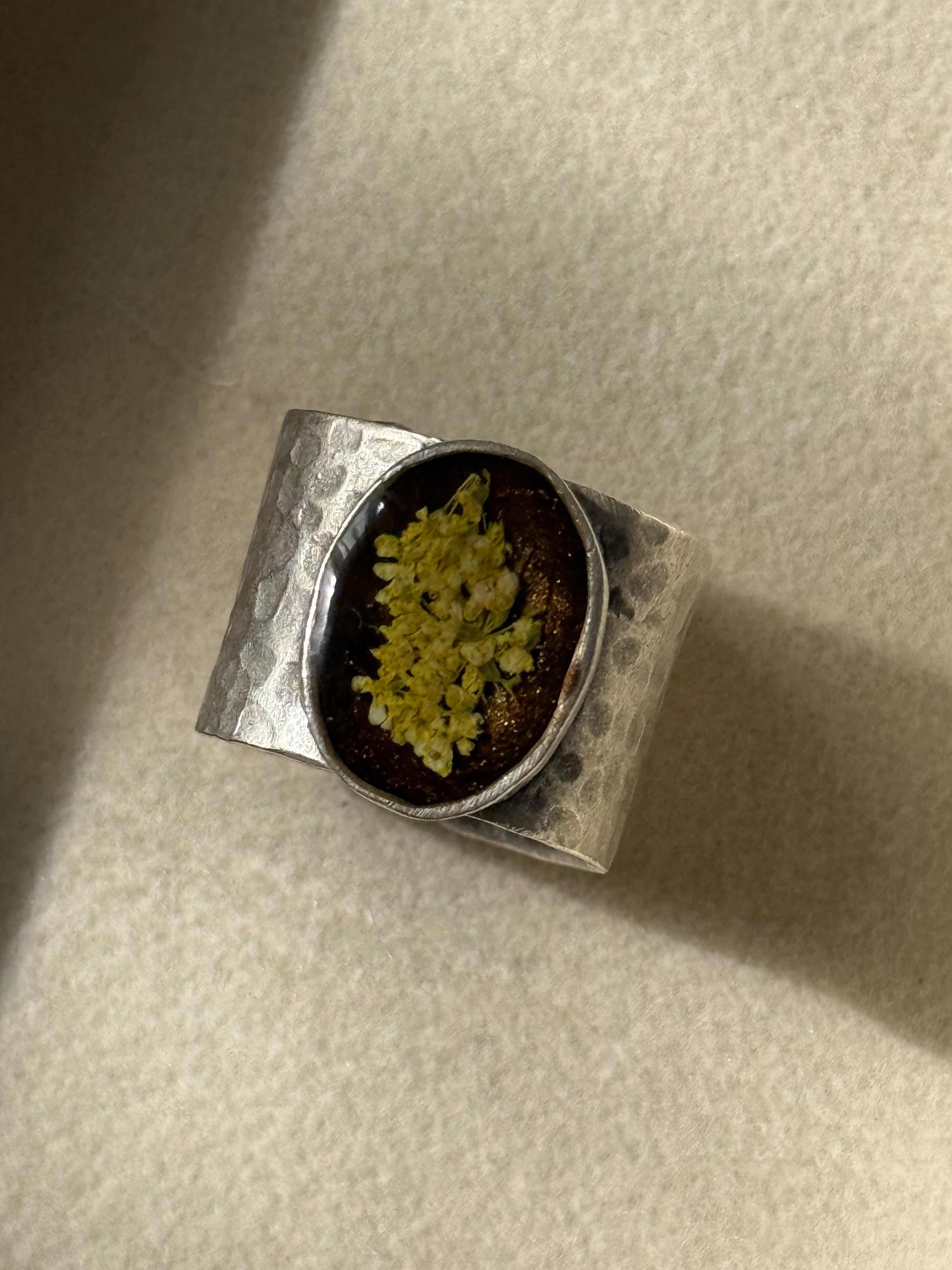 Anillo