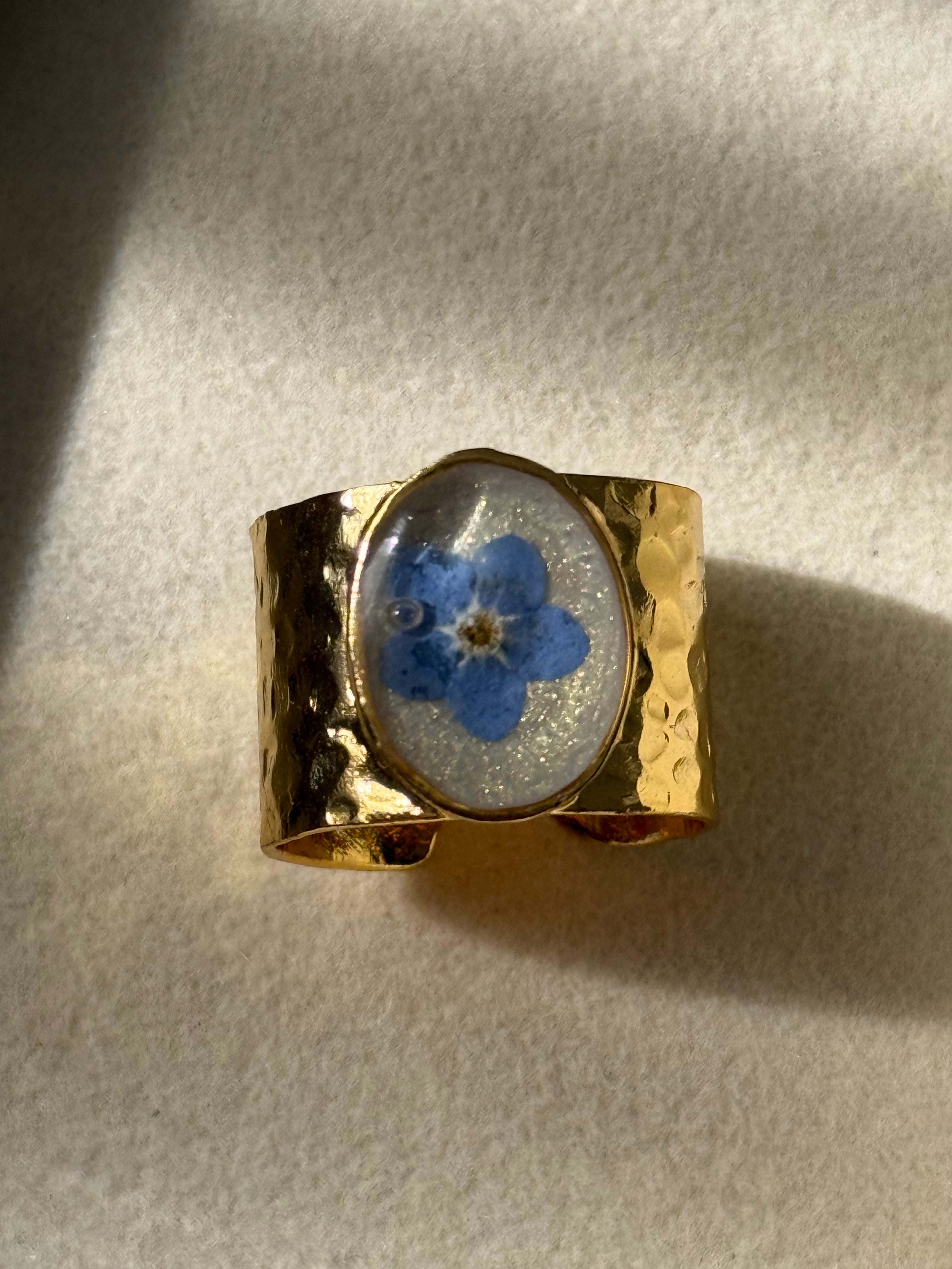 Anillo